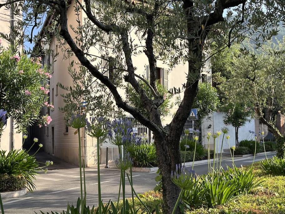 La Piccola Casa Al Lago - Intera Casa Con 3 Camere E 2 Box ซาโล ภายนอก รูปภาพ